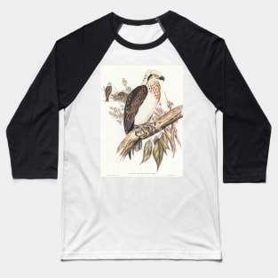 White-headed Osprey Baseball T-Shirt